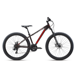 BOTTECCHIA 107